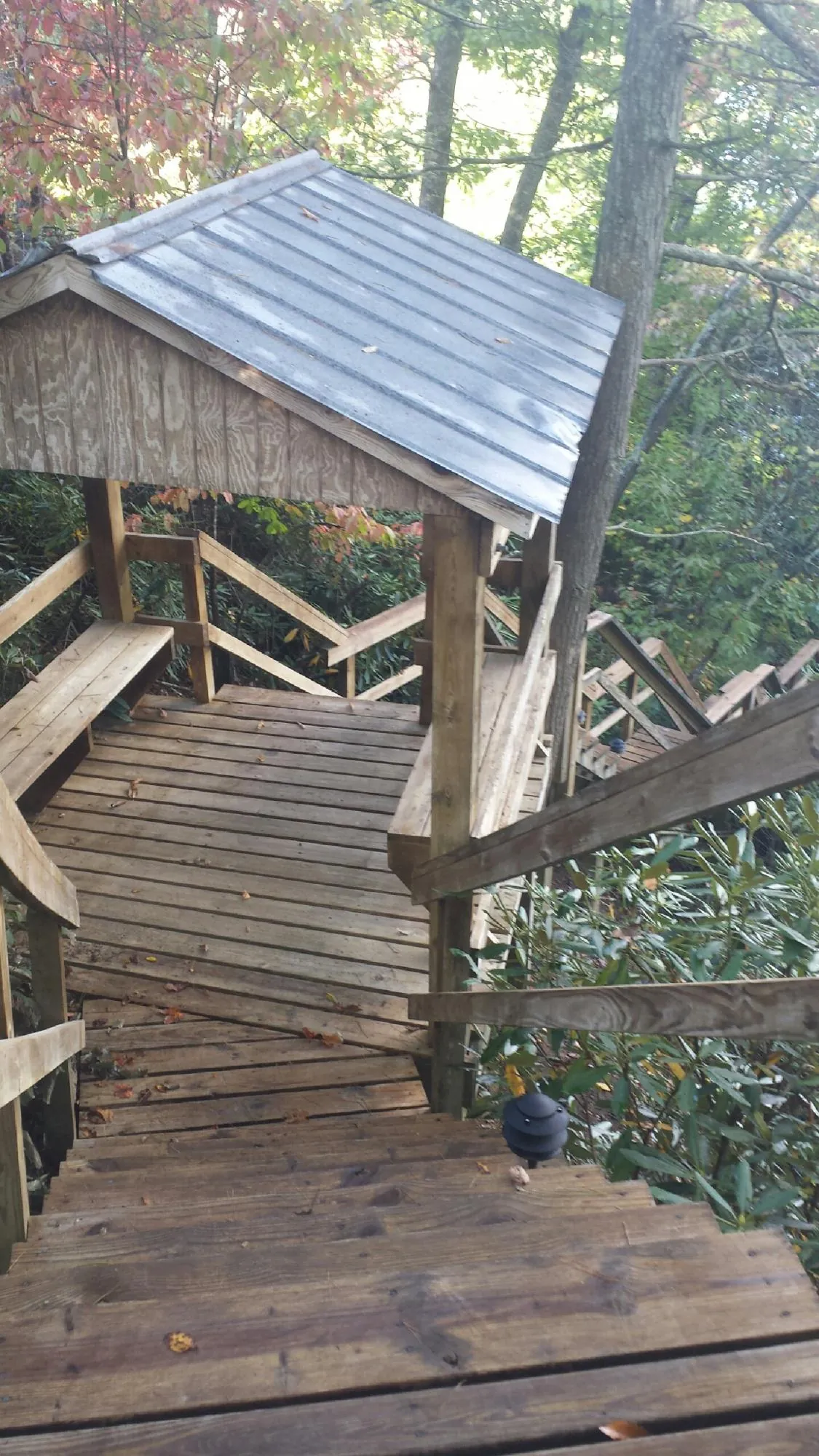 Metal roofed shelter over wooden steps on a wooded walkway — Skylight Repair & Installation work by our crew in Bee